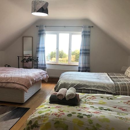 Four Seasons House Bed & Breakfast Milford Dış mekan fotoğraf